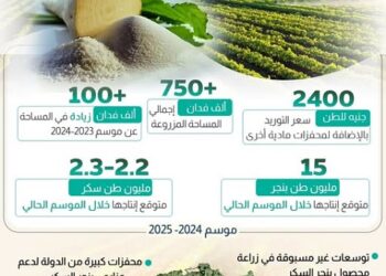 “مركز معلومات الوزراء” يرصد طفرة في القطاع الزراعي المصري وجهود تحقيق الأمن الغذائي