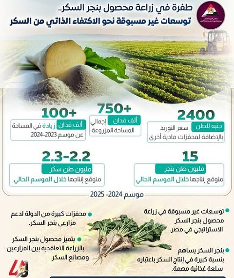 “مركز معلومات الوزراء” يرصد طفرة في القطاع الزراعي المصري وجهود تحقيق الأمن الغذائي