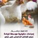 صناعة الدواجن توفر أكثر من 3.5 ملايين فرصة عمل
