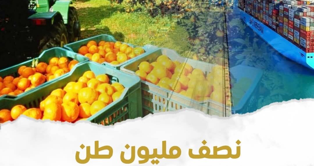 نصف مليون طن زيادة في الصادرات الزراعية منذ بداية العام حتى الان