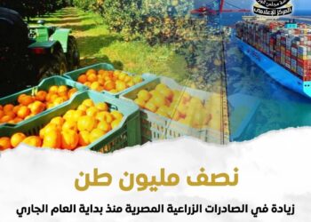 نصف مليون طن زيادة في الصادرات الزراعية منذ بداية العام حتى الان