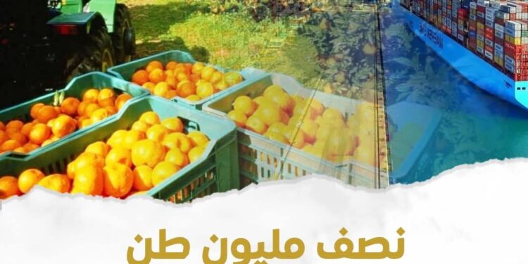 نصف مليون طن زيادة في الصادرات الزراعية منذ بداية العام حتى الان