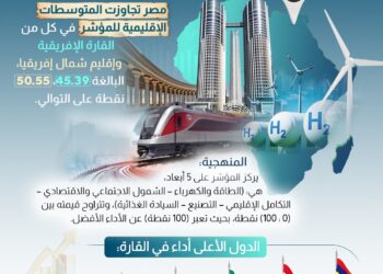 “معلومات مجلس الوزراء”: مصر الثانية إفريقيًا في مؤشر تقديم الخدمات العامة لعام 2024