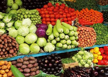 استقراراً ملحوظًا في أسعار الخضروات والفاكهة اليوم السبت