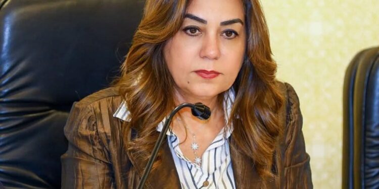 وزيرة التنمية المحلية تتابع مع محافظي المنوفية والجيزة تداعيات حادث الطريق الإقليمي