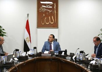 رئيس الوزراء يتابع إجراءات توفير الاعتمادات المالية المطلوبة للمواد البترولية اللازمة لتشغيل محطات الكهرباء