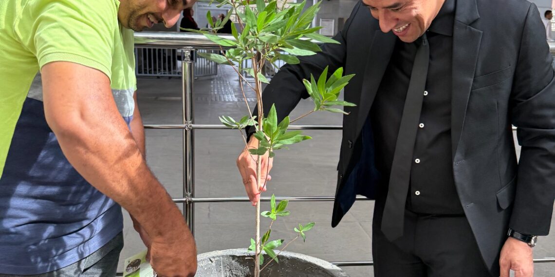 اطلاق مبادرة ” ازرع – استشير” داخل محطه عدلي منصور بالقطار الكهربائي الخفيف LRT