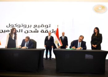 توقيع برتوكول تعاون بين الخارجية والرقابة المالية بشأن المصريين بالخارج 