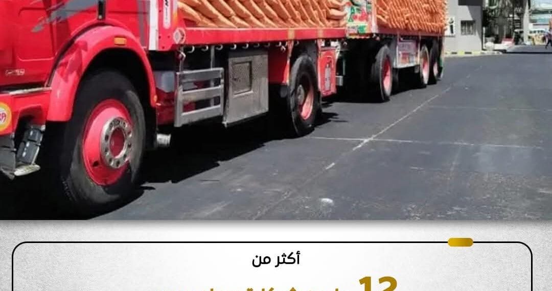 صرف أكثر من 12 مليون شيكارة سماد مدعم خلال الموسم الصيفي الحالي