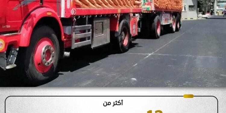 صرف أكثر من 12 مليون شيكارة سماد مدعم خلال الموسم الصيفي الحالي