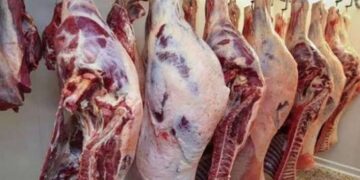 أسعار اللحوم الحمراء والبقري