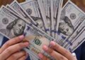 استقر سعر الدولار مقابل الجنيه المصري
