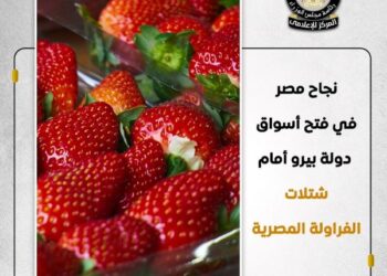 نجاح مصر في فتح أسوق دولة بيرو أمام شتلات الفرولة المصرية