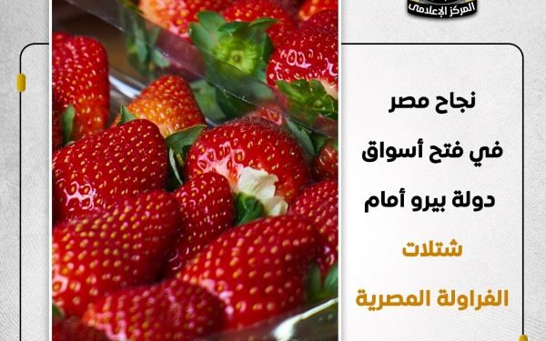 نجاح مصر في فتح أسوق دولة بيرو أمام شتلات الفرولة المصرية