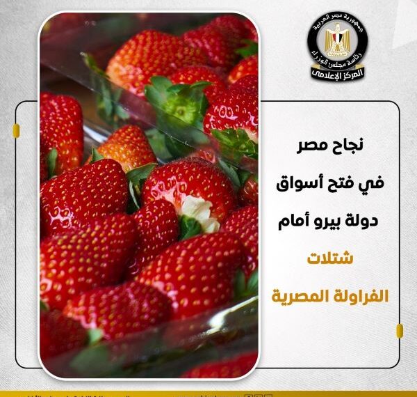 نجاح مصر في فتح أسوق دولة بيرو أمام شتلات الفرولة المصرية