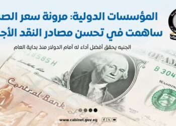 بالإنفوجرافات .. المؤسسات الدولية تشيد بمرونة سعر الصرف