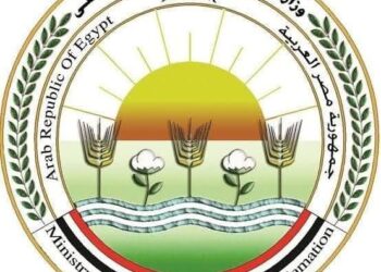 ما حقيقة زيت الزيتون المنتشر اعلاناته بأنه يتبع مركز البحوث الزراعية 