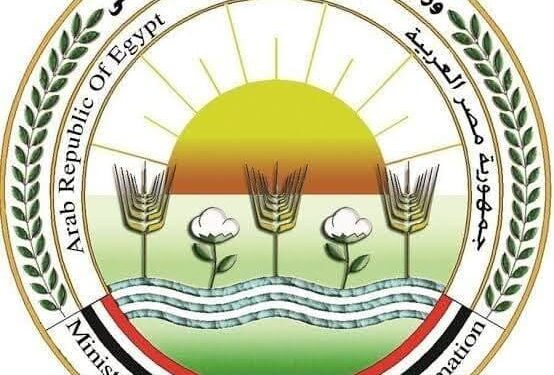 ما حقيقة زيت الزيتون المنتشر اعلاناته بأنه يتبع مركز البحوث الزراعية 