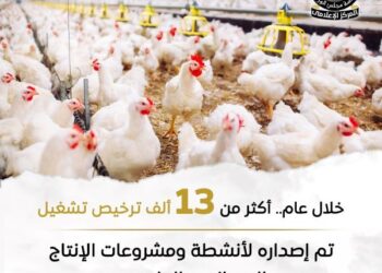 إصدار 13092 ترخيص تشغيل لمشروعات الثروة الحيوانية والعلفية والداجنة