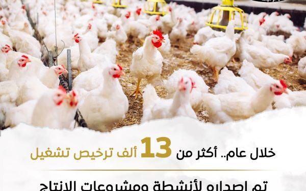 إصدار 13092 ترخيص تشغيل لمشروعات الثروة الحيوانية والعلفية والداجنة