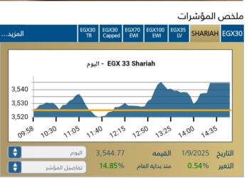 المؤشر الرئيسى EGX30