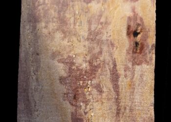 📌 الكشف عن نسخة جديدة وكاملة من مرسوم كانوب للملك بطليموس الثالث بمحافظة الشرقية