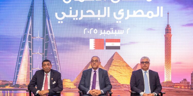 وليد جمال الدين: نجحنا في جذب 311 مشروعًا خلال 38 شهرًا باستثمارات تتجاوز 10.2 مليارات دولار