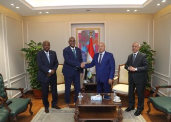 الوزير يبحث مع رئيس سلطة الموانئ والمناطق الحرة والسفير الجيبوتي بالقاهرة تدعيم التعاون المشترك في مجالي النقل والصناعة