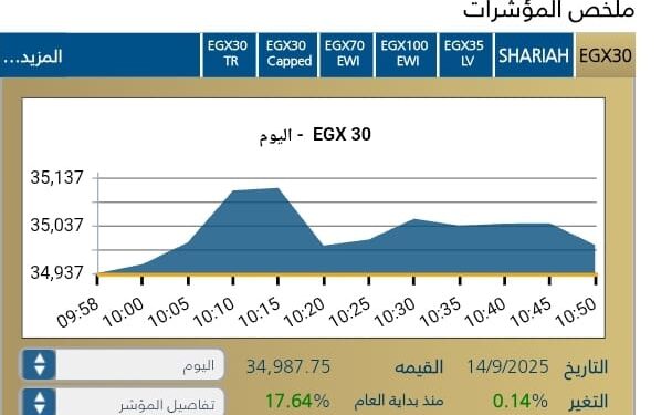 المؤشر الرئيسى EGX30