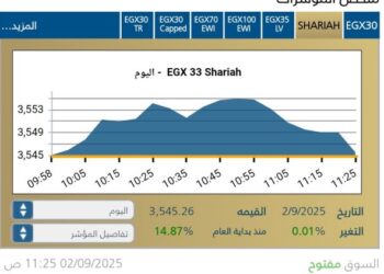 البورصه المصريه