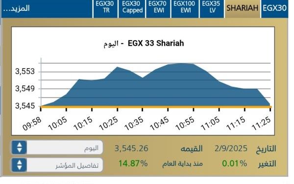 البورصه المصريه