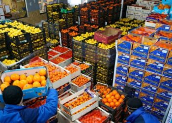 الصادرات الزراعية