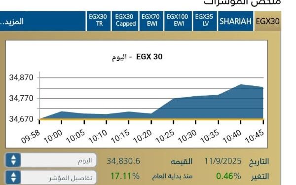 المؤشر الرئيسى