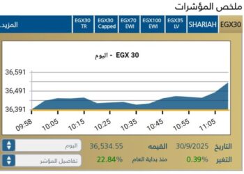 المؤشر الرئيسى EGX30