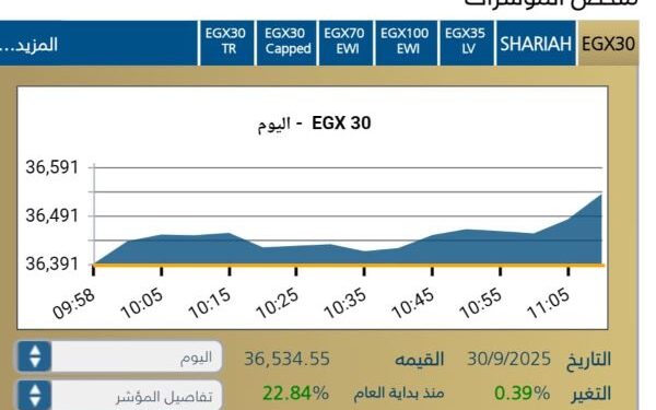 المؤشر الرئيسى EGX30