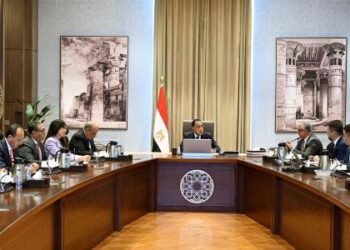 رئيس الوزراء يلتقي مسئولى شركة صن ريف سولار الصينية