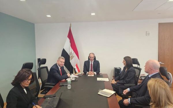 وزير الاتصالات يبحث مع مسؤولى كبرى الشركات الأمريكية التوسع فى استثماراتها فى مجال التعهيد فى مصر