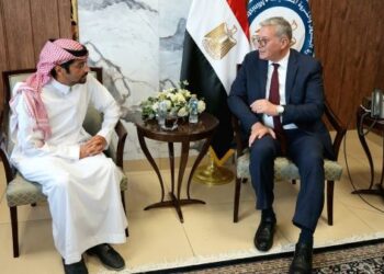 وزير البترول يبحث دعم الاستثمارات السعودية في صناعات البتروكيماويات