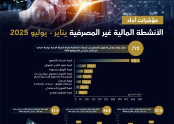 التمويل الممنوح من الجهات الخاضعة لرقابة الهيئة العامة للرقابة المالية