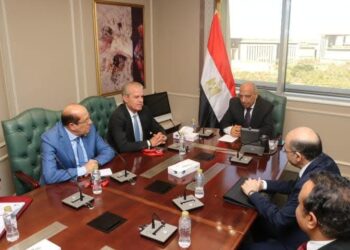 إنشاء مجمع صناعي متكامل لإنتاج الأسمدة العضوية واستخلاص المواد الحرجة والعناصر النادرة من خامات “الكاولين” و”الجلوكونيت “