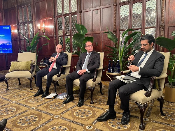 الدكتور محمد يستعرض جهود تطوير القطاع المالي غير المصرفي