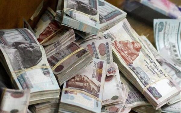 استقرار سعر الدولار مقابل الجنيه المصري