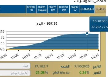المؤشر الرئيسى
