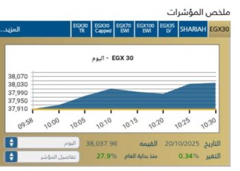 المؤشر الرئيسى EGX30