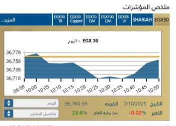 المؤشر الرئيسى EGX30