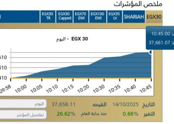المؤشر الرئيسي
