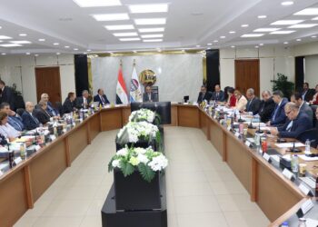 وزير قطاع الأعمال العام يترأس الجمعية العامة للقابضة للأدوية