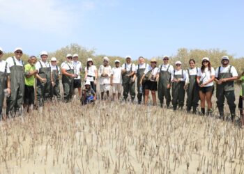 موظفو توتال إنرجيز للتسويق إيجيبت يزرعون 1000 شجرة مانغروف في مرسى علم