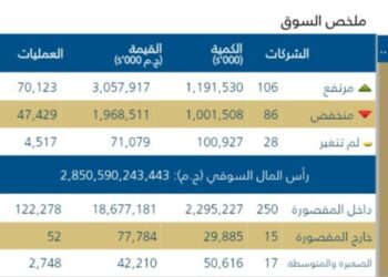 البورصه المصريه تتألق: الأسهم القياديه تقود الصعود