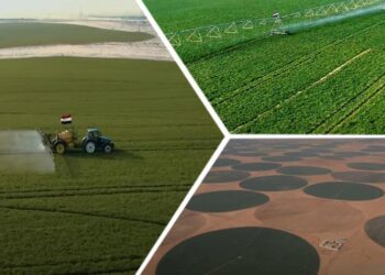 الدلتا الجديدة